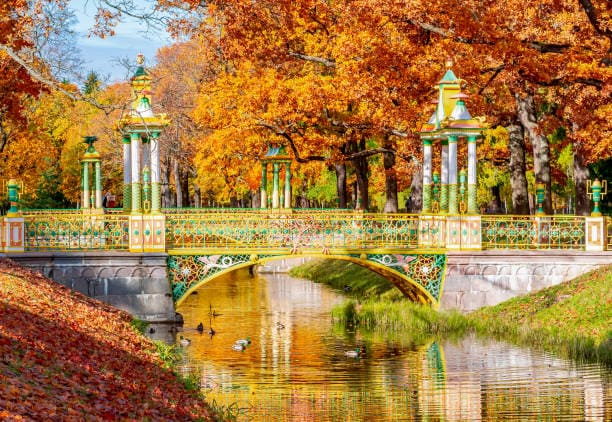 7️⃣ اليوم السابع - حدائق سانت بطرسبورغ والجسور المتحركة