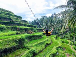 Ceking-Rice-Terrace-Bali